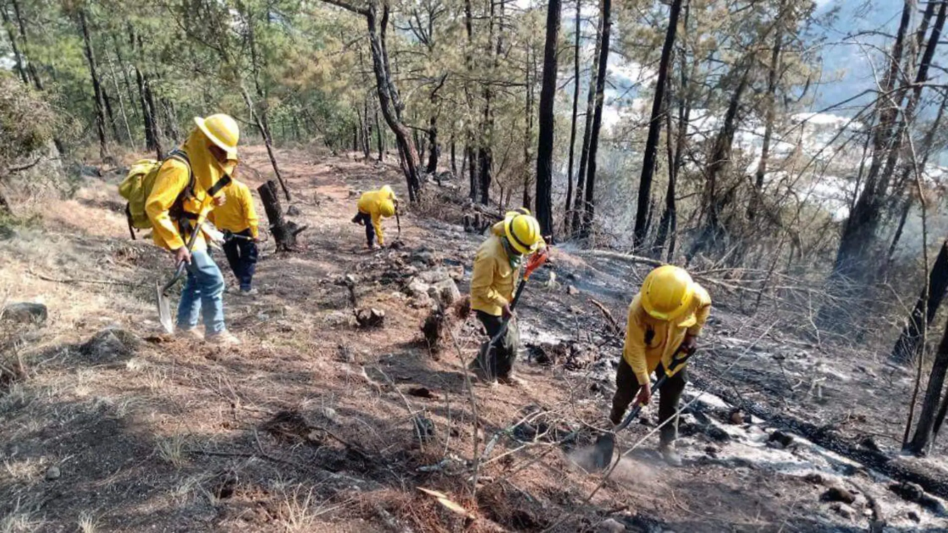 Controlado al 100 por ciento el incendio el incendio entre Tetela de Ocampo y Aquixtla